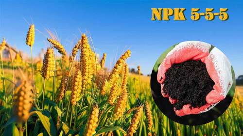 Últimas noticias de la empresa sobre La guía definitiva del NPK 5-5-5 Fertilizante orgánico