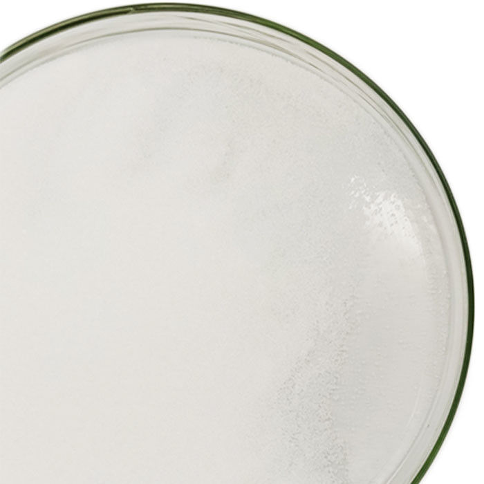 CAS 556-88-7 Materias Primas Sintéticas en Polvo de Nitroguanidina Envasadas